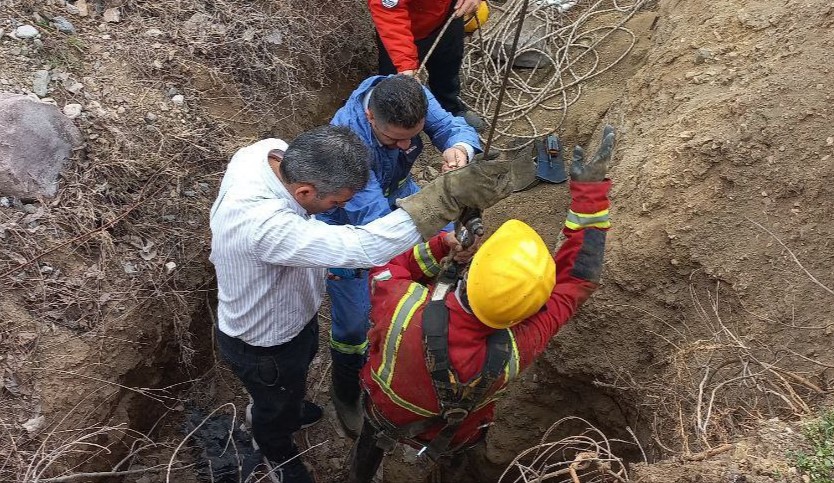 چهار ساعت تلاش بی وقفه آتش نشانان برای نجات یک سگ از چاه ۲۸متری