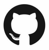 GitHub Icon