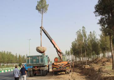 جابجایی ۱۵۰ اصله درخت معارض پروژه‌ میدان خلیج‌فارس قرچک