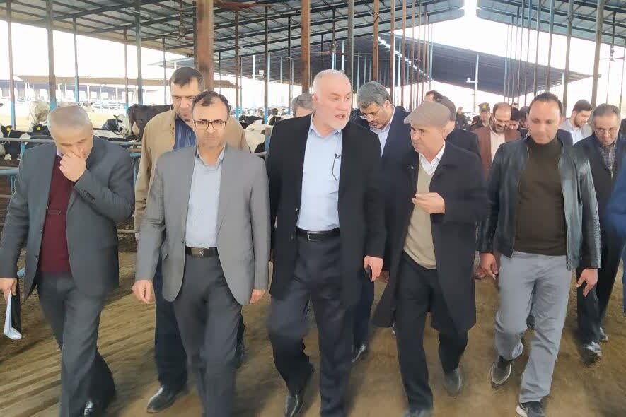 استاندار تهران از چند واحد تولیدی و کشاورزی ورامین بازدید کرد